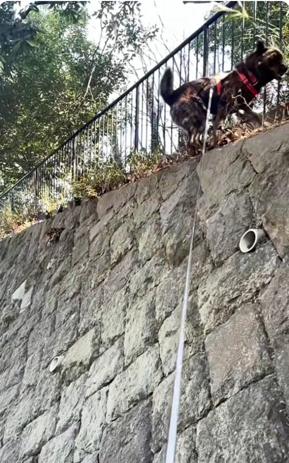 登り切ったトシくん