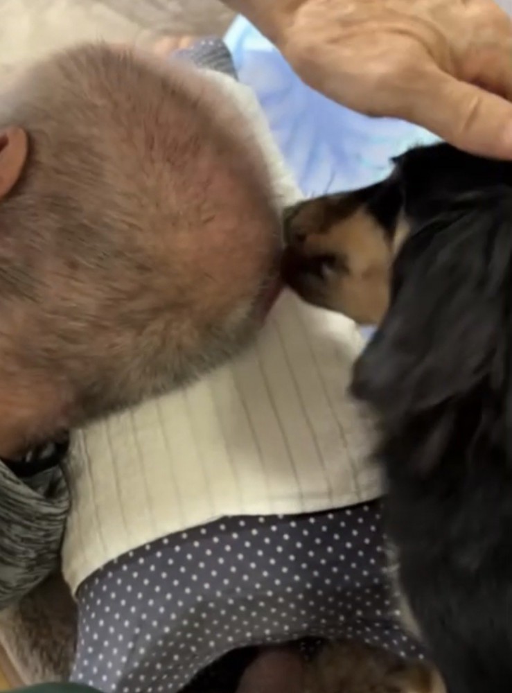 犬の頭をなでる祖父