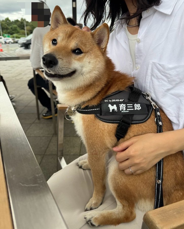 ニコニコ