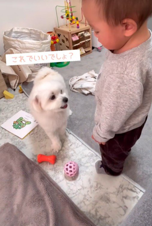 リリちゃんと赤ちゃん6