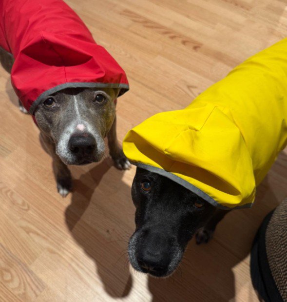 仲睦まじい家族でした