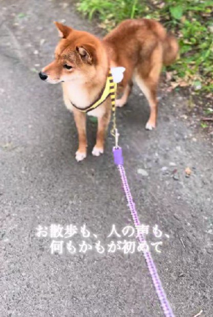 何もかもが初めて