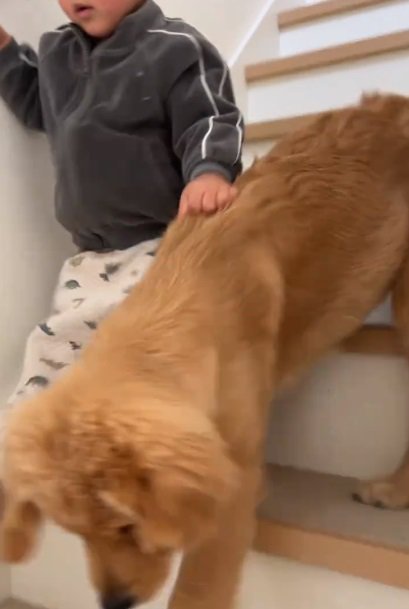 こももちゃんを掴む弟くん