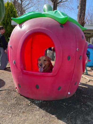 この乗り物は楽しい♡