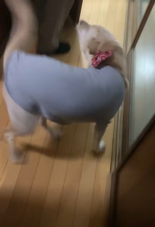 大はしゃぎ！