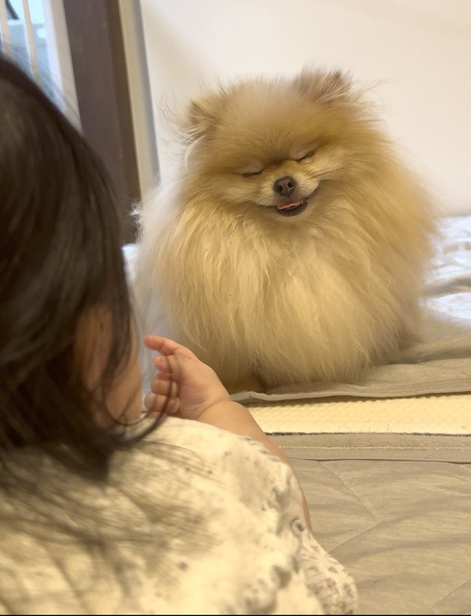 ニコニコ