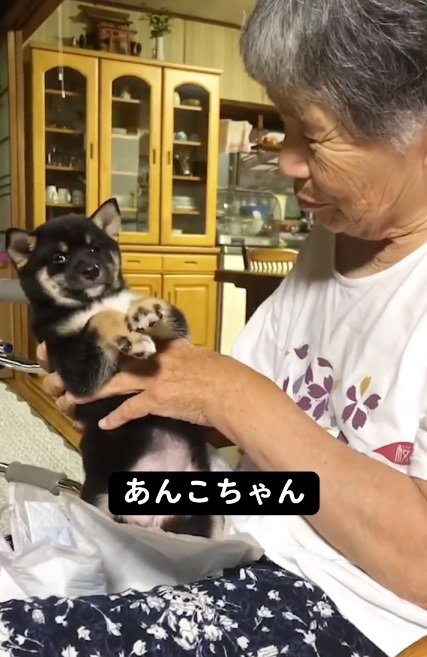 名前を呼びかけるおばあちゃん