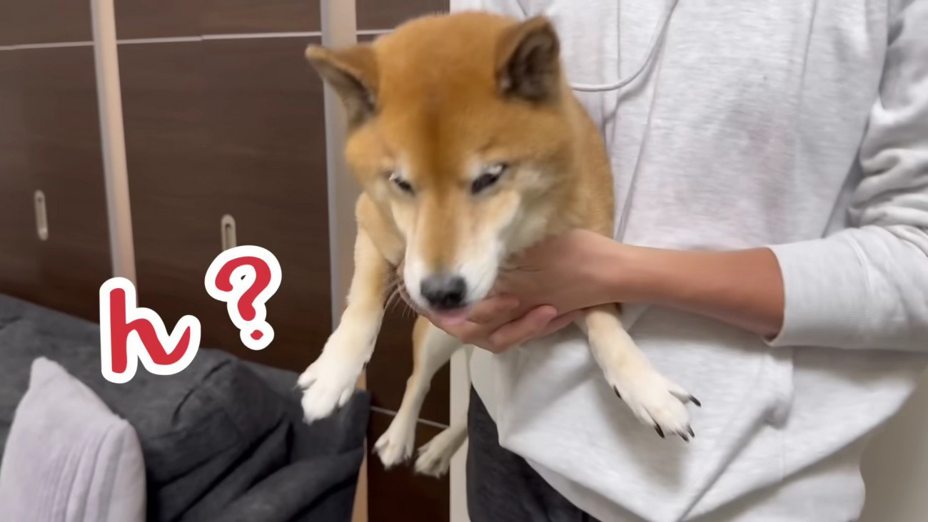 あれだけ抵抗したのに…！？