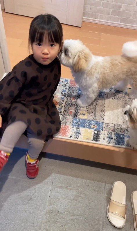 コロくんとチチちゃんと女の子の日常3