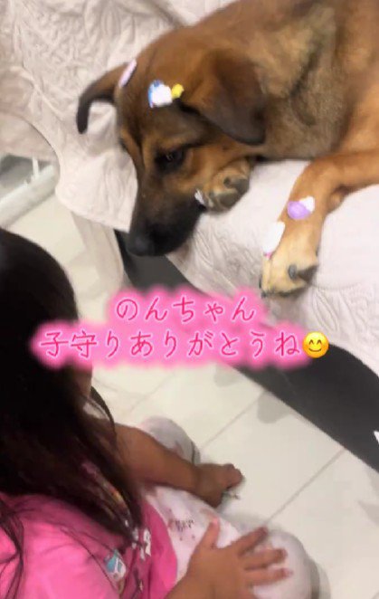 のんちゃんにシールをペタペタ