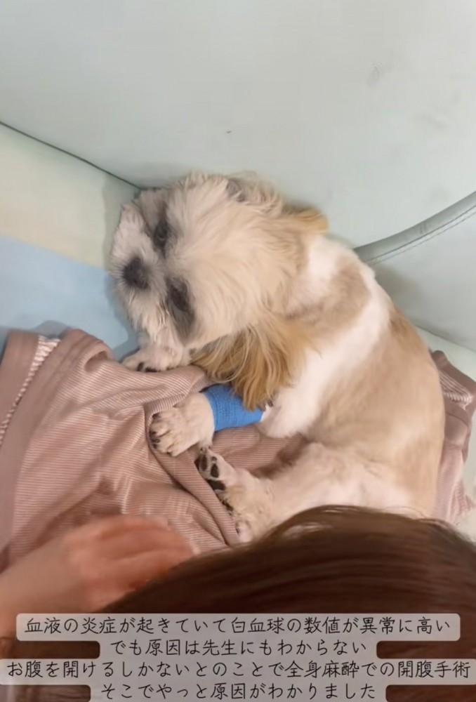 小さな体で手術することに