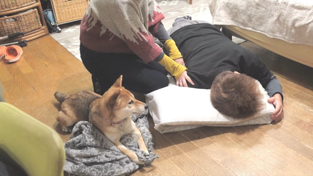 ずっと見守り続けるマメちゃん