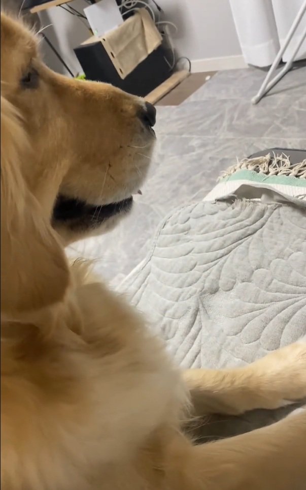 横顔のメルちゃん