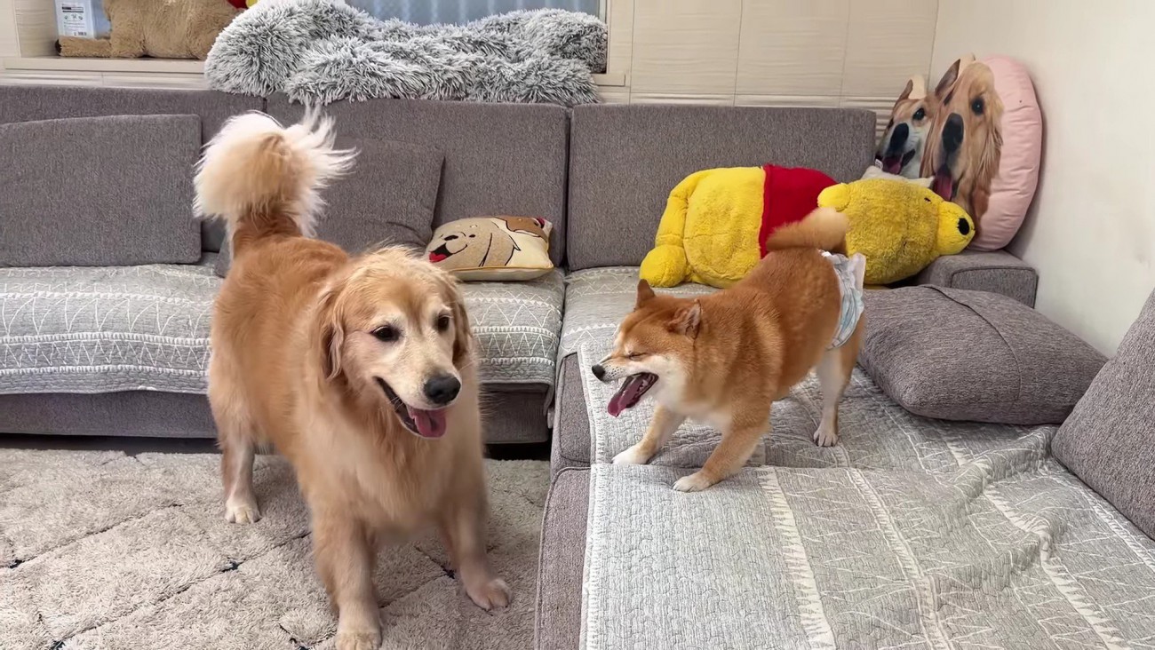 おからちゃんに猛抗議！！