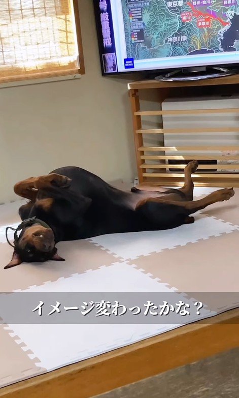 無防備すぎる寝姿