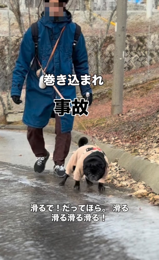 少し滑ってしまったパグ