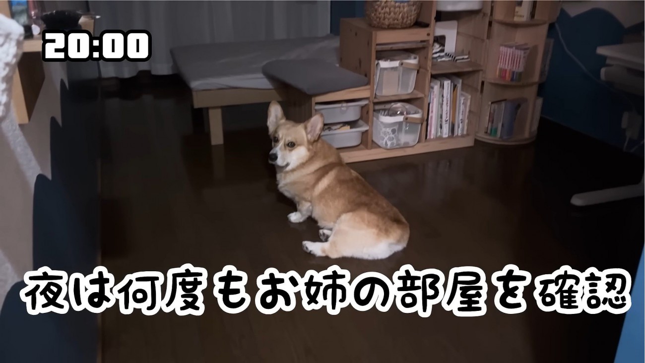 お姉ちゃんの部屋へ