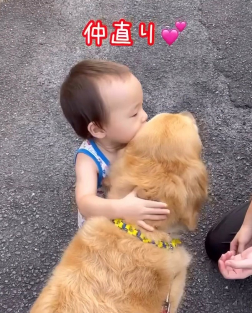 男の子が犬をぎゅっと抱きしめる