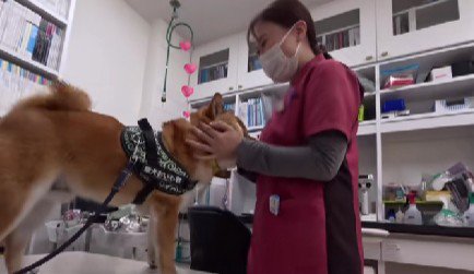 診察台の上で大喜び