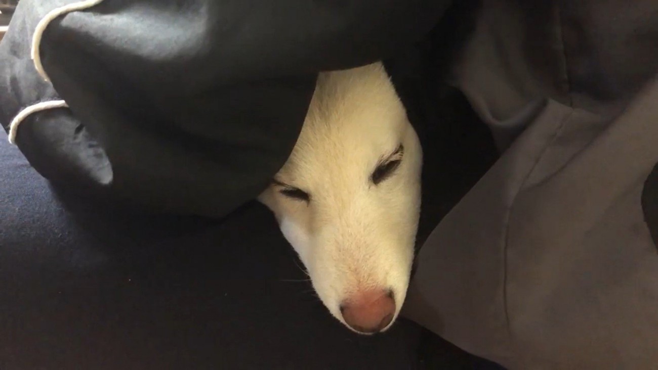 「すっごく嫌だった！慰めて～」