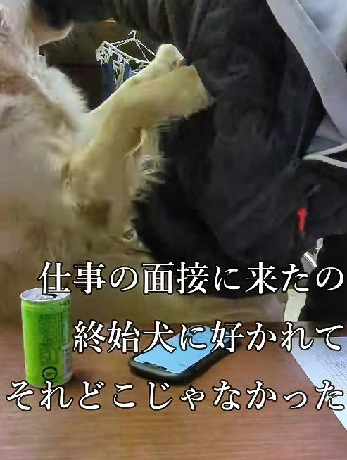 ティトちゃんがアタック！