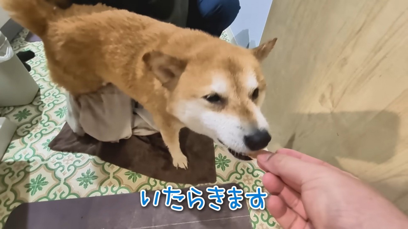 シャンプーをするスティーブくん⑩