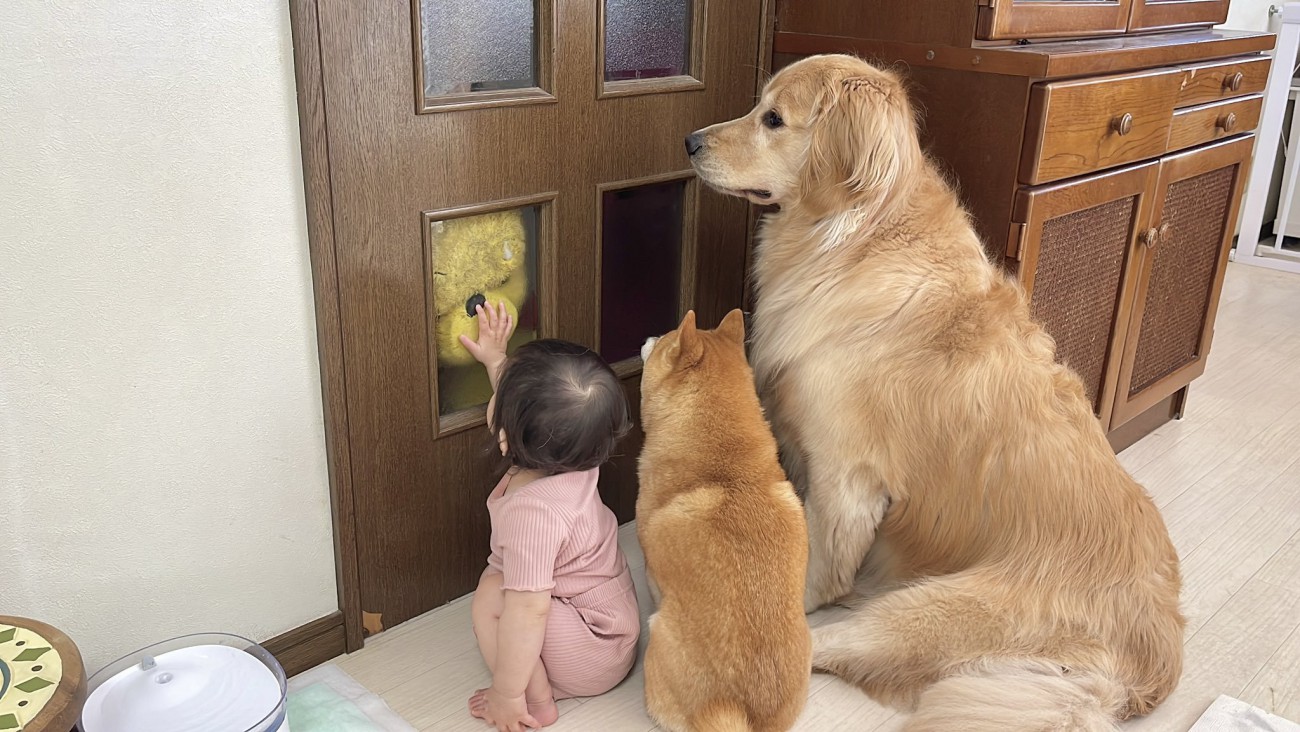 尊すぎる