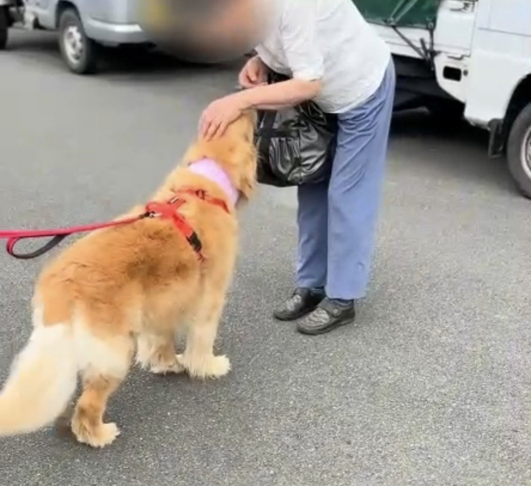 二人目に撫でられる犬
