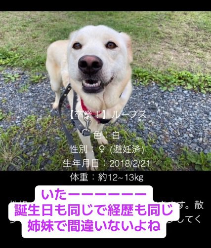 見つかったもなかちゃん