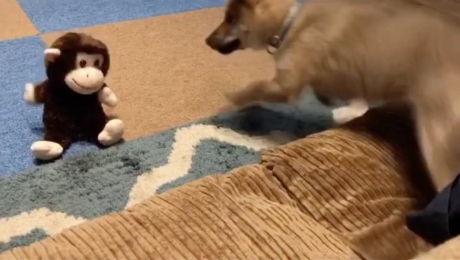 「なにこれっ」