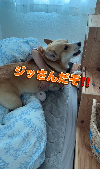 「朝だぞ！起きて！！」