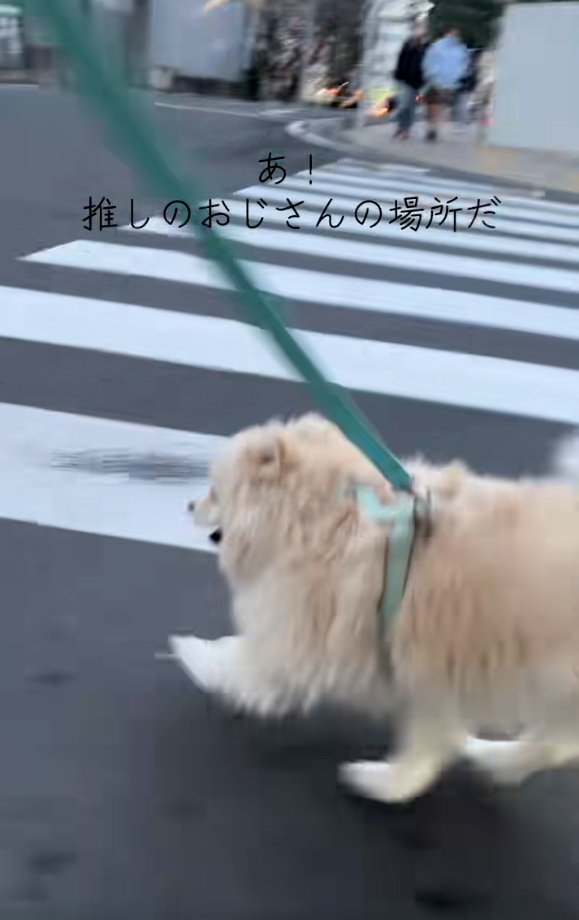おじさんの場所だと気づいたエリーちゃん