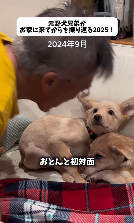 最初はご家族を怖がっていた2匹
