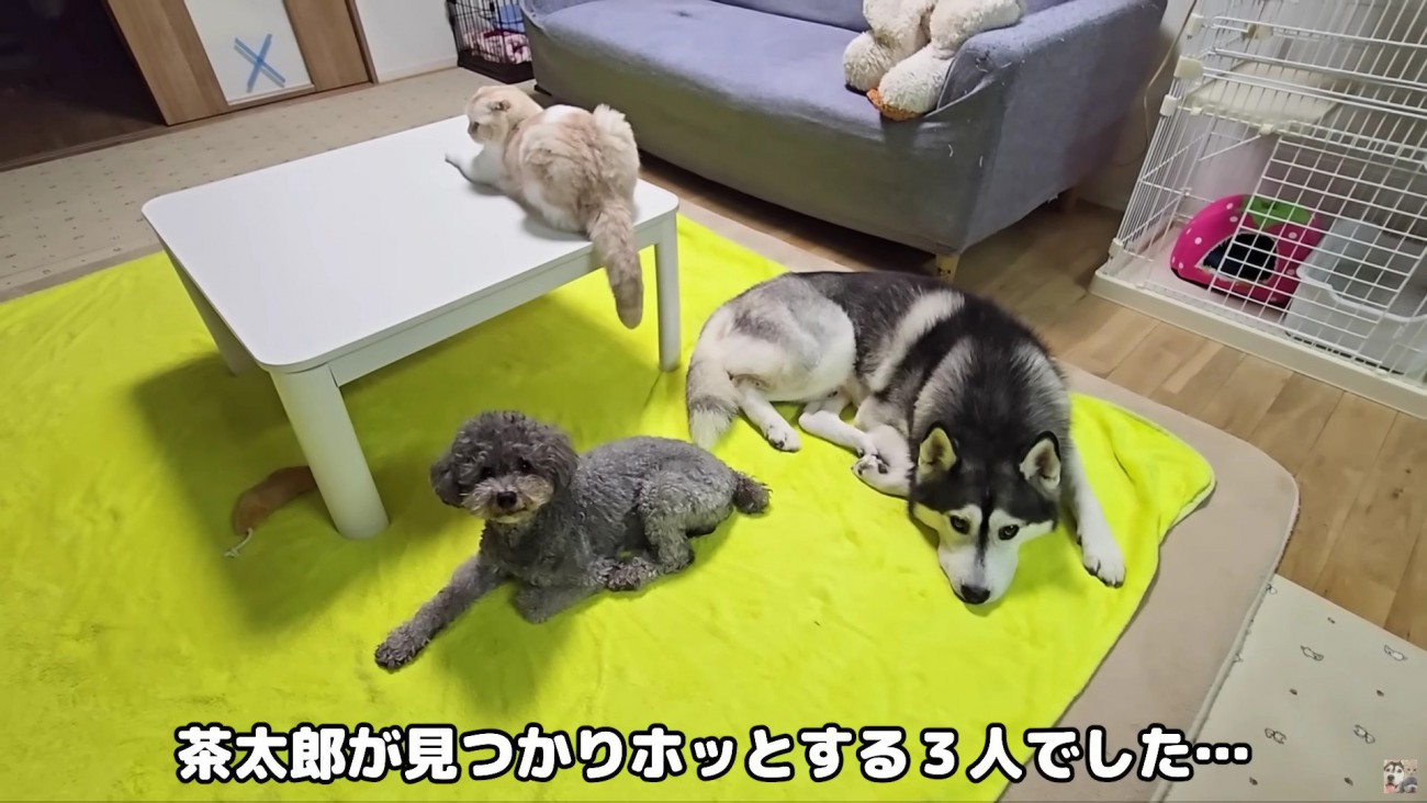 絆の深さに感動♪