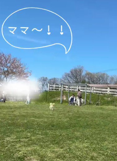 「ママ～！！」