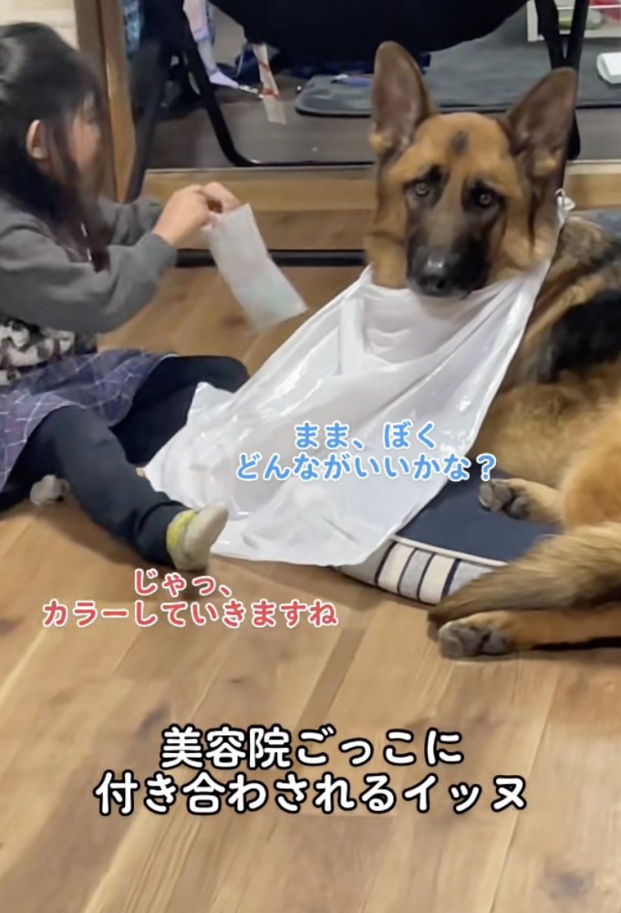 まさかのカラーをすることに