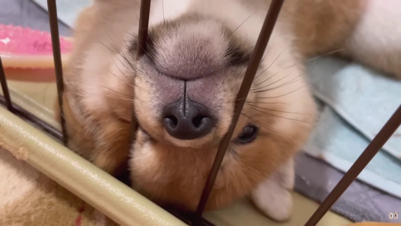 やっぱりここが落ち着くね