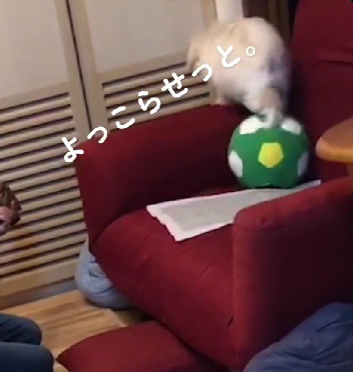 あまり興味がないよう