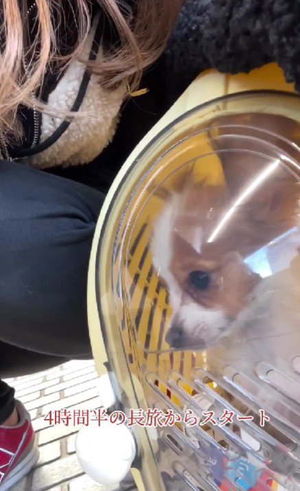 4時間の旅から始まった