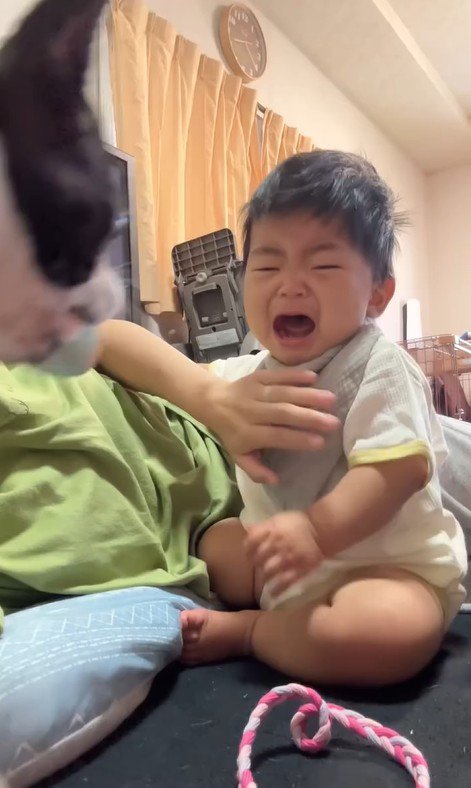 赤ちゃんが泣いた時のごろちゃん