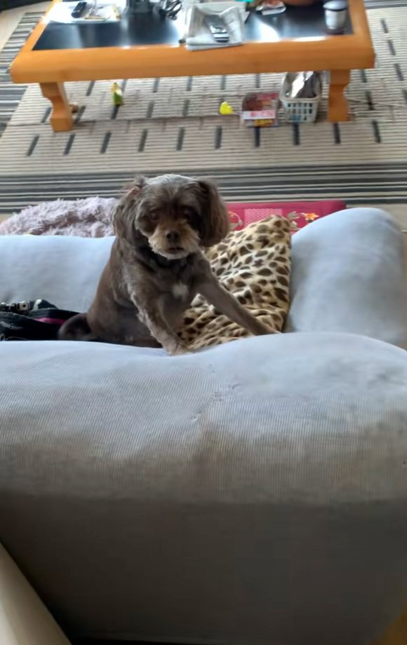 いぶかしげなペコちゃん