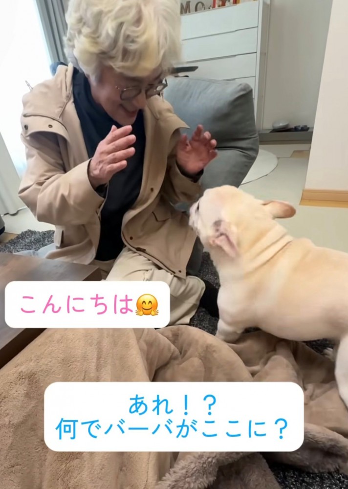 顔を見合わせる犬と人