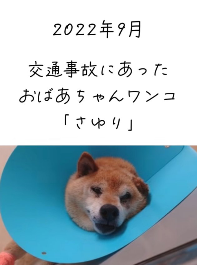 交通事故に遭ったさゆりちゃん