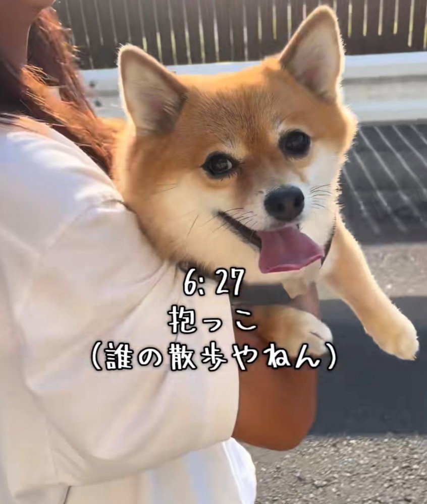 飼い主に抱っこされている犬