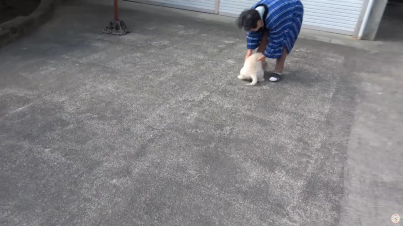 庭でじゃれあう2人