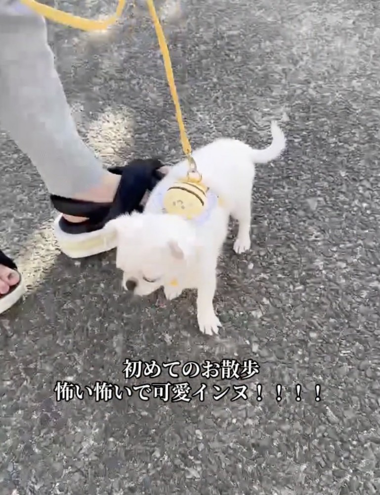 がんばれるかな？