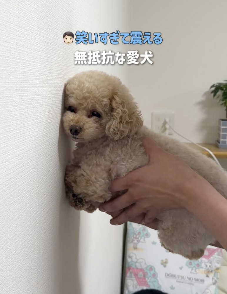 3回目も同様でした