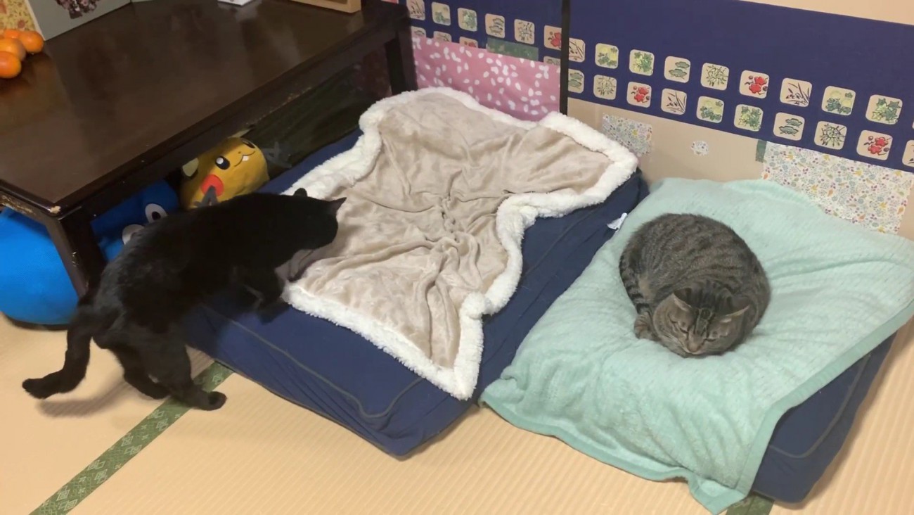 天ちゃんに盗られちゃった！！