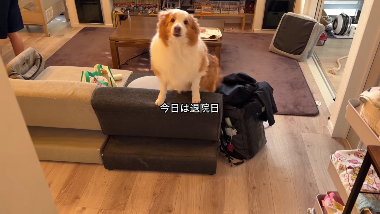 数日ぶりにママと再会