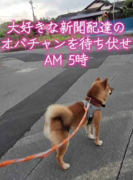 待っていた相手とは…